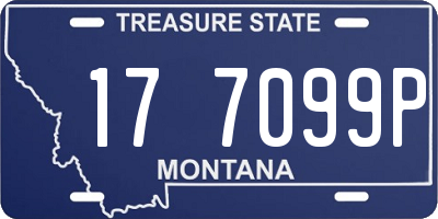 MT license plate 177099P