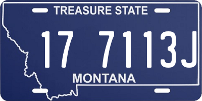MT license plate 177113J