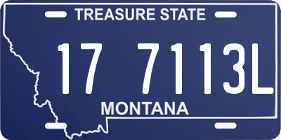 MT license plate 177113L