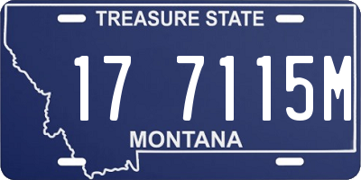 MT license plate 177115M