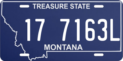 MT license plate 177163L
