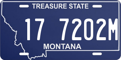 MT license plate 177202M