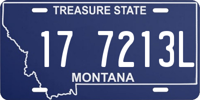 MT license plate 177213L