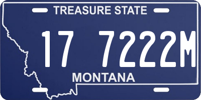 MT license plate 177222M