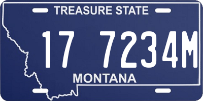 MT license plate 177234M