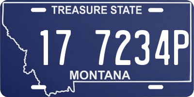 MT license plate 177234P