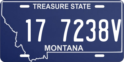MT license plate 177238V