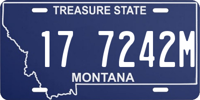 MT license plate 177242M