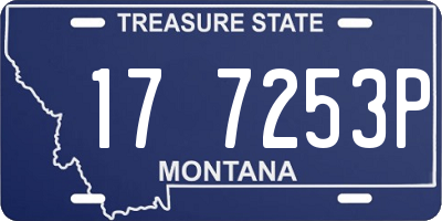 MT license plate 177253P