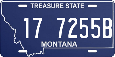 MT license plate 177255B
