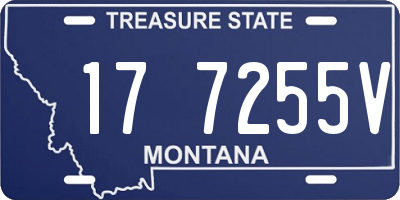 MT license plate 177255V