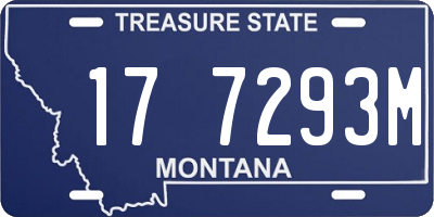 MT license plate 177293M