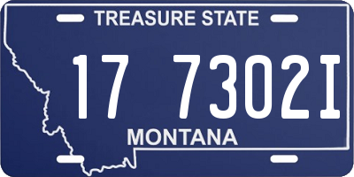 MT license plate 177302I