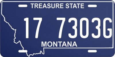 MT license plate 177303G