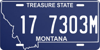 MT license plate 177303M