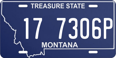 MT license plate 177306P