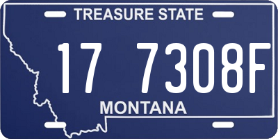 MT license plate 177308F