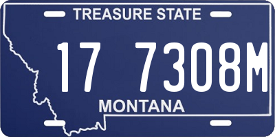 MT license plate 177308M