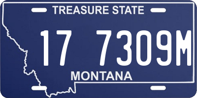 MT license plate 177309M
