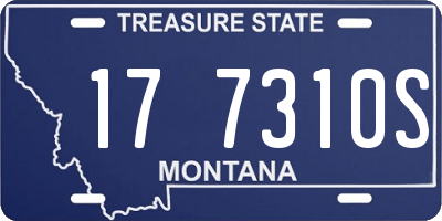 MT license plate 177310S