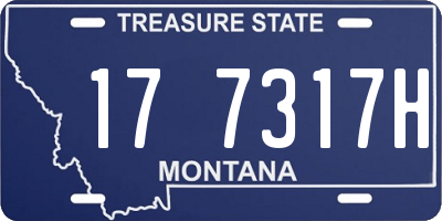 MT license plate 177317H