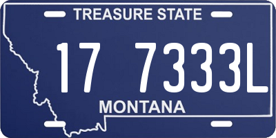MT license plate 177333L