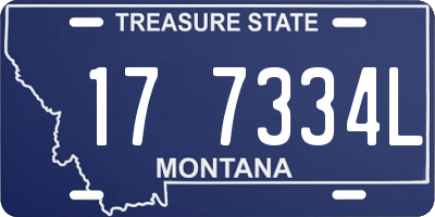 MT license plate 177334L