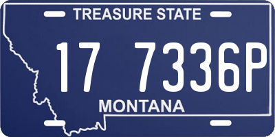MT license plate 177336P