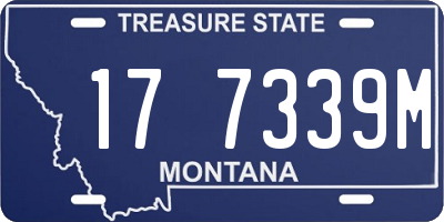 MT license plate 177339M