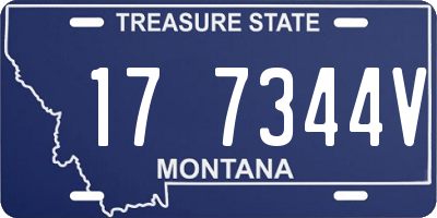 MT license plate 177344V