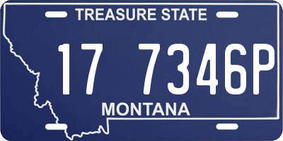 MT license plate 177346P