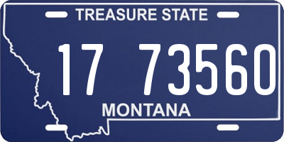 MT license plate 177356O