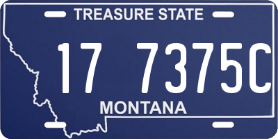 MT license plate 177375C