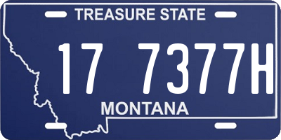 MT license plate 177377H