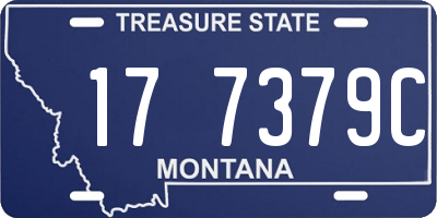 MT license plate 177379C