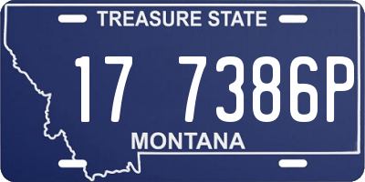 MT license plate 177386P