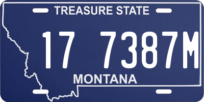 MT license plate 177387M