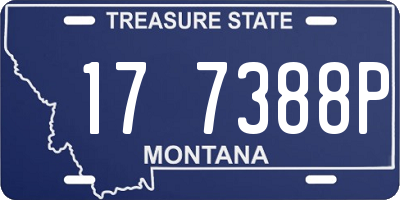 MT license plate 177388P