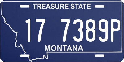 MT license plate 177389P