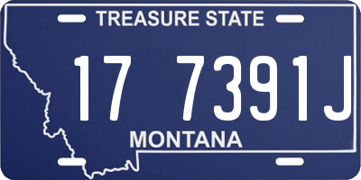 MT license plate 177391J