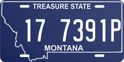MT license plate 177391P