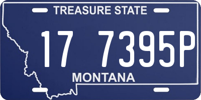 MT license plate 177395P