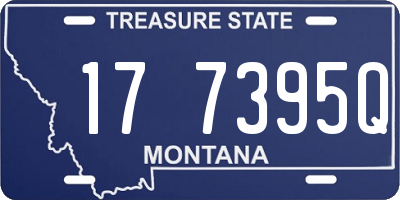 MT license plate 177395Q