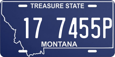 MT license plate 177455P