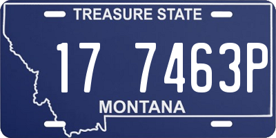 MT license plate 177463P