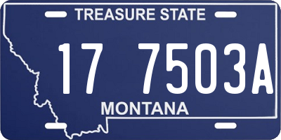 MT license plate 177503A