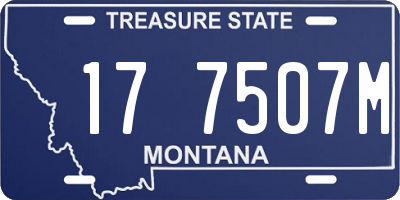 MT license plate 177507M