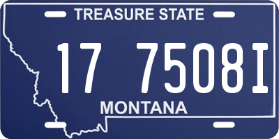 MT license plate 177508I