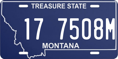 MT license plate 177508M