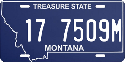 MT license plate 177509M